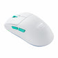 Wireless Mouse Cherry