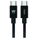 Pointer Woxter
