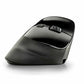 Mouse NGS