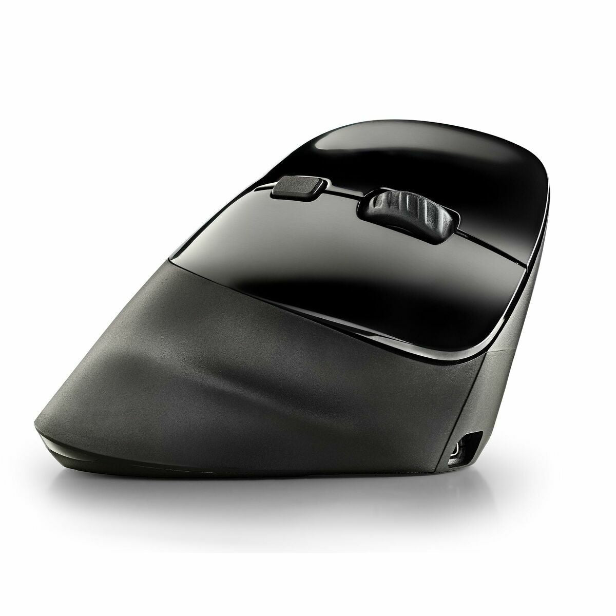 Mouse NGS