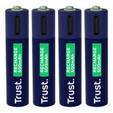 Batteries Trust 25671 AAA