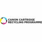 Original Ink Cartridge Canon Black (2 Units)