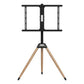 TV Mount GEMBIRD TVS-75ST-01