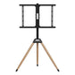 TV Mount GEMBIRD TVS-75ST-01