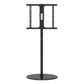 TV Mount GEMBIRD TVS-65S-02