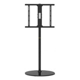 TV Mount GEMBIRD TVS-65S-02