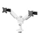 Screen Table Support Neomounts DS65S-950WH2 34"