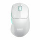Wireless Mouse Cherry