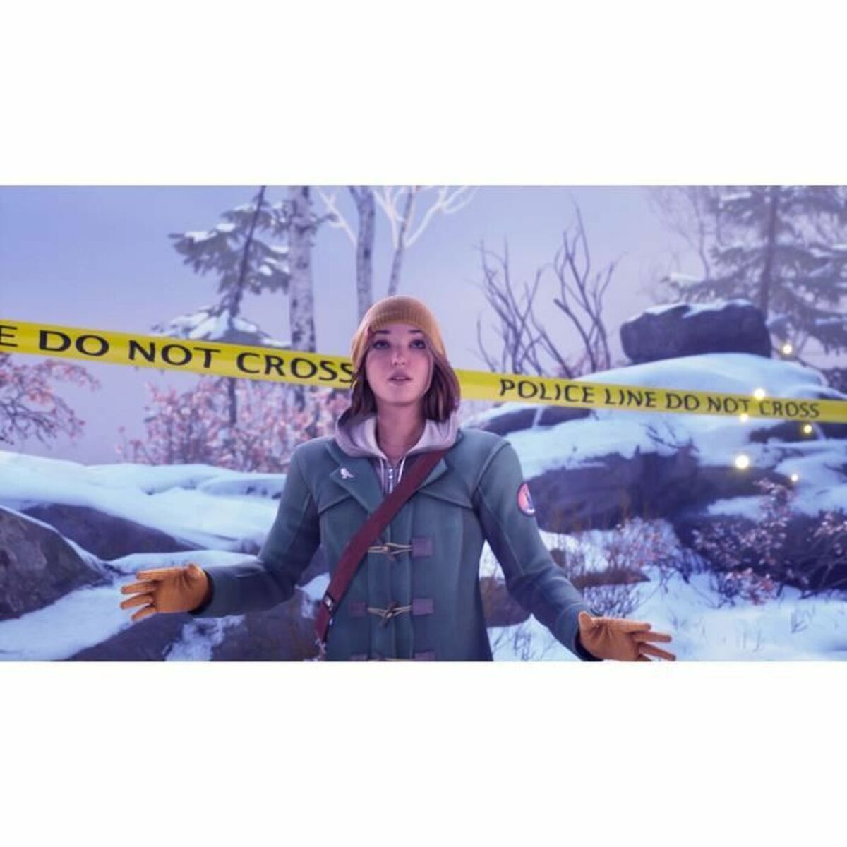 Video game for Switch Square Enix Double Exposure
